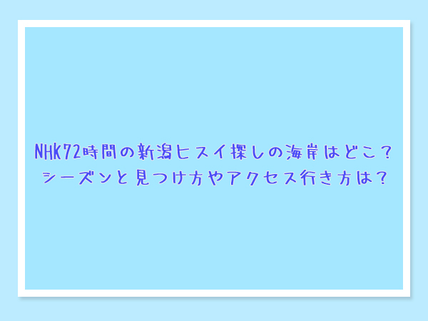 NHK72時間の新潟ヒスイ探しの海岸はどこ？シーズンと見つけ方やアクセス行き方は？