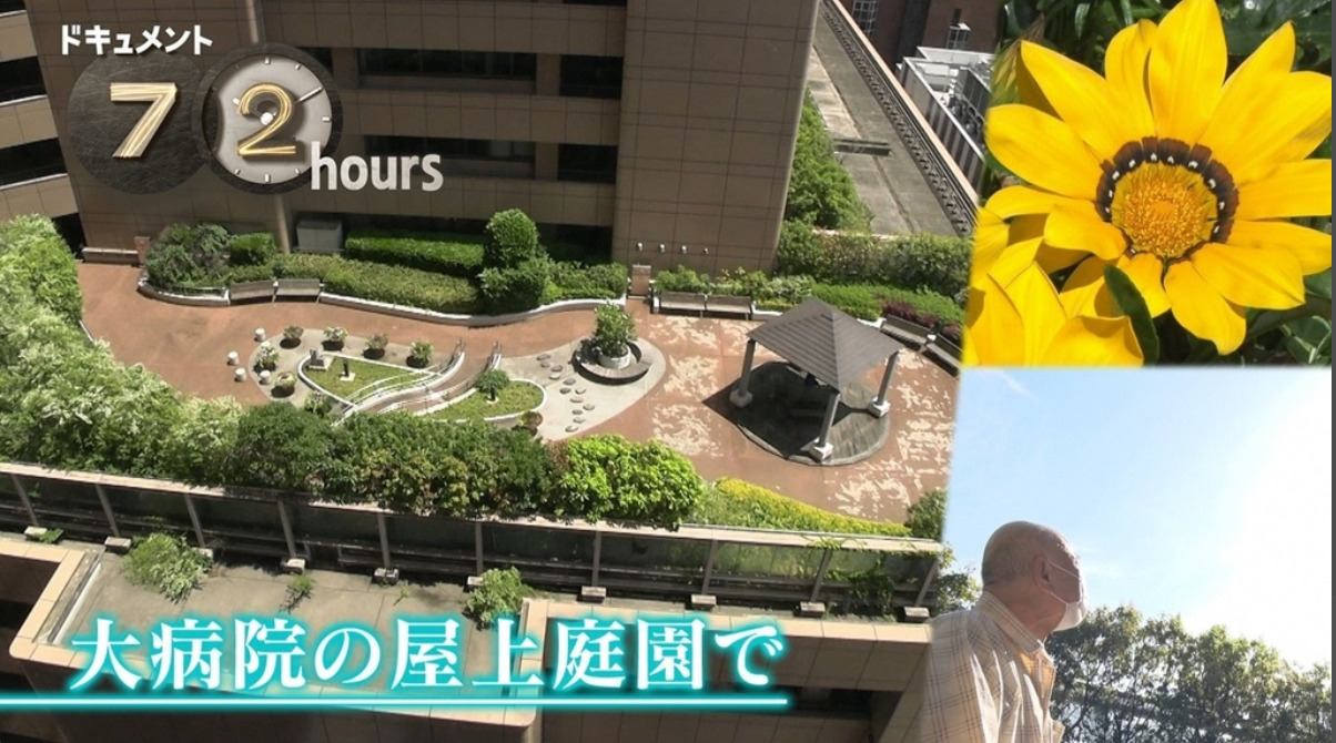 NHKドキュメント72時間 大病院の屋上庭園で