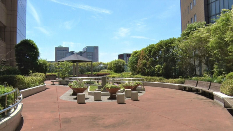 NHKドキュメント72時間の大病院の屋上庭園の場所はどこ？一般人も利用することはできる？(東京医科歯科大学病院)