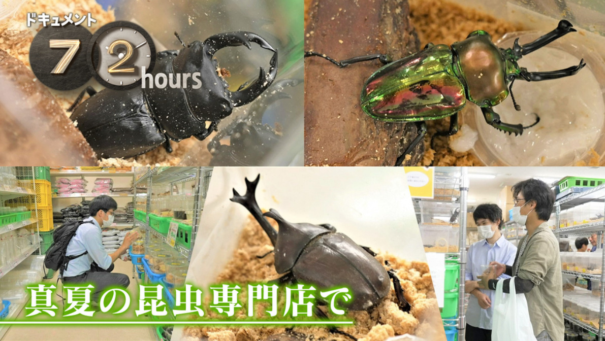 NHKドキュメント72時間 真夏の昆虫専門店で