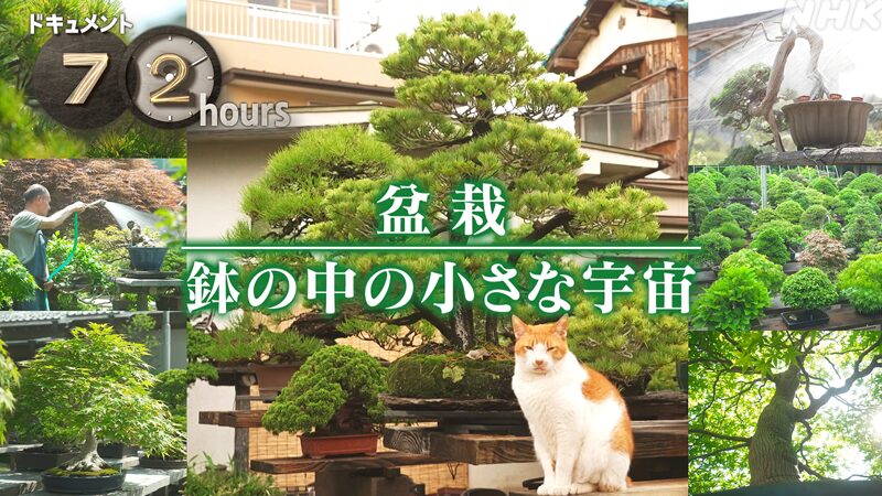 NHKドキュメント72時間　盆栽 鉢の中の小さな宇宙 大宮盆栽村