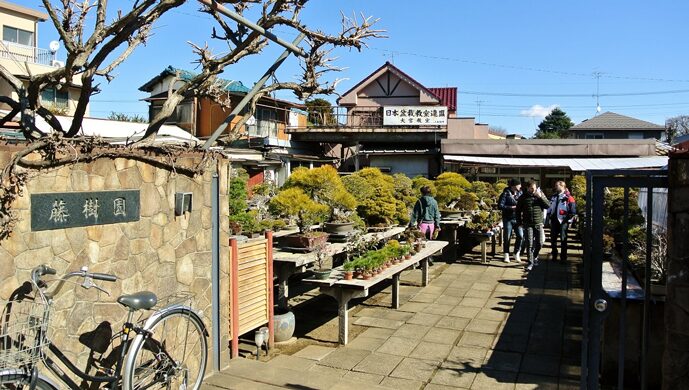 NHKドキュメント72時間の大宮盆栽村のロケ地や歴史は？藤樹園のアクセスや場所はどこ？