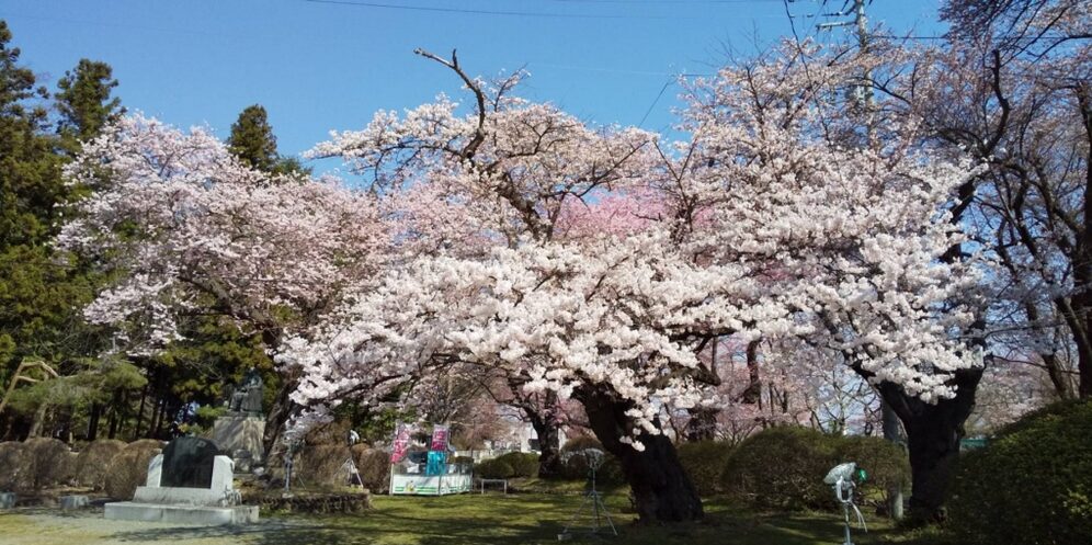 NHKドキュメント72時間　大谷翔平　水沢公園